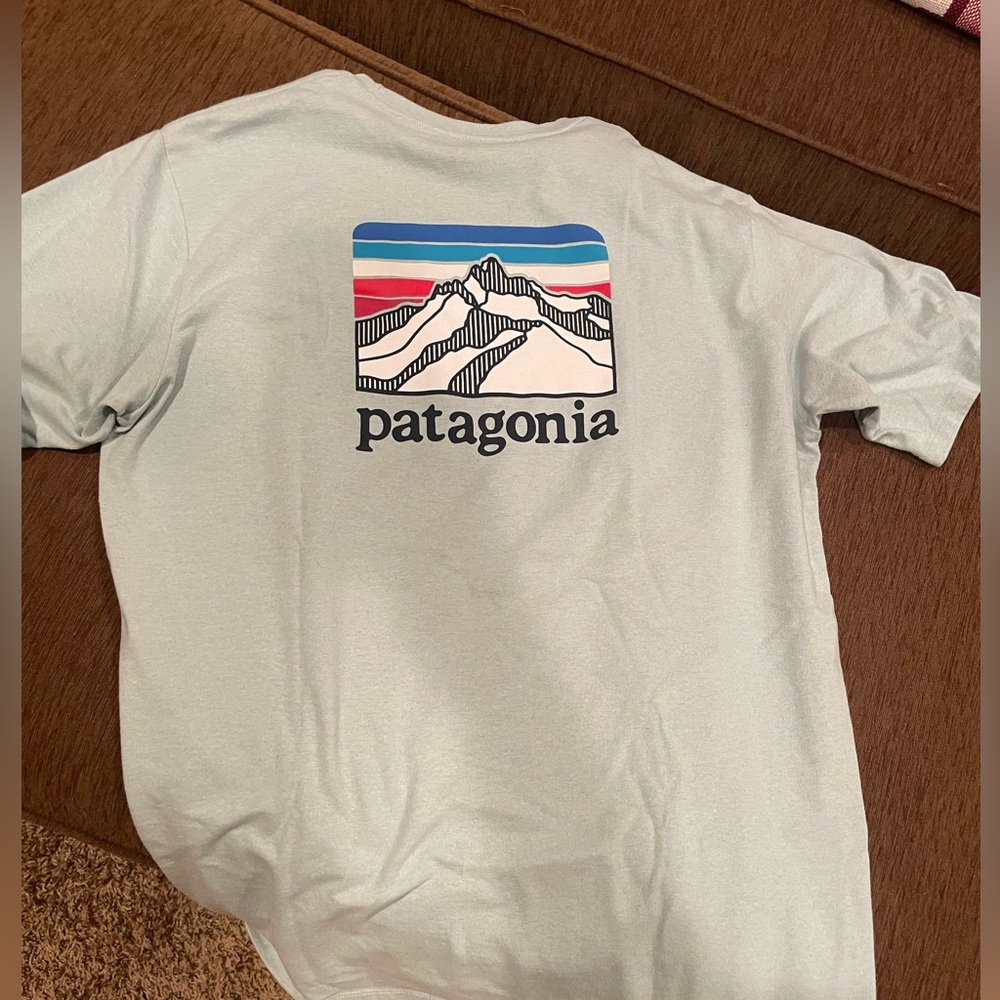 Men’s Patagonia T-shirt